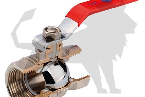 LION BULK HANDLING